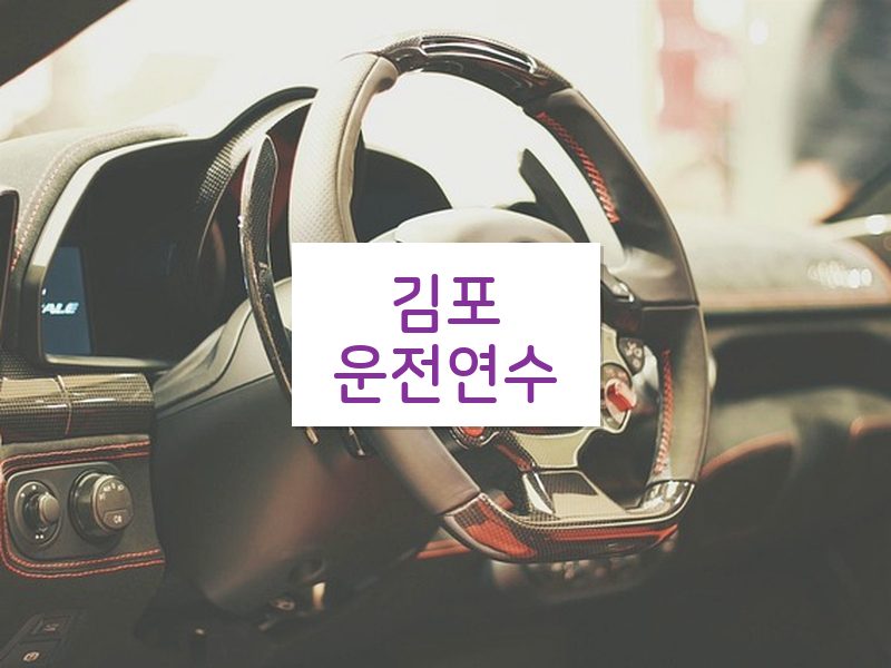 김포운전연수 후기