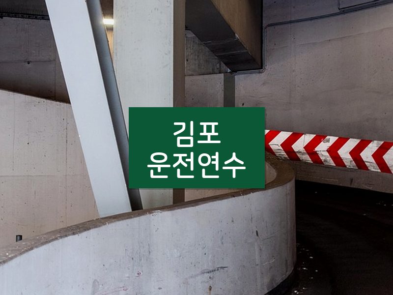 김포운전연수 후기