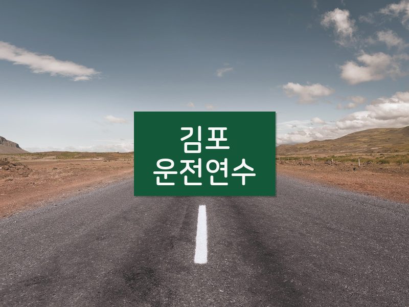 김포운전연수 후기
