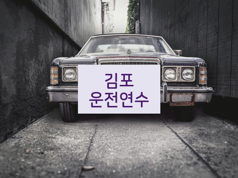 김포운전연수 후기