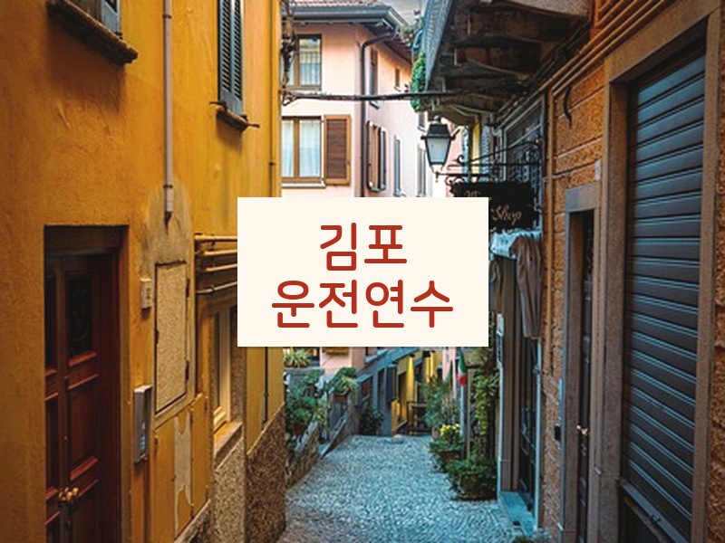 김포운전연수 후기