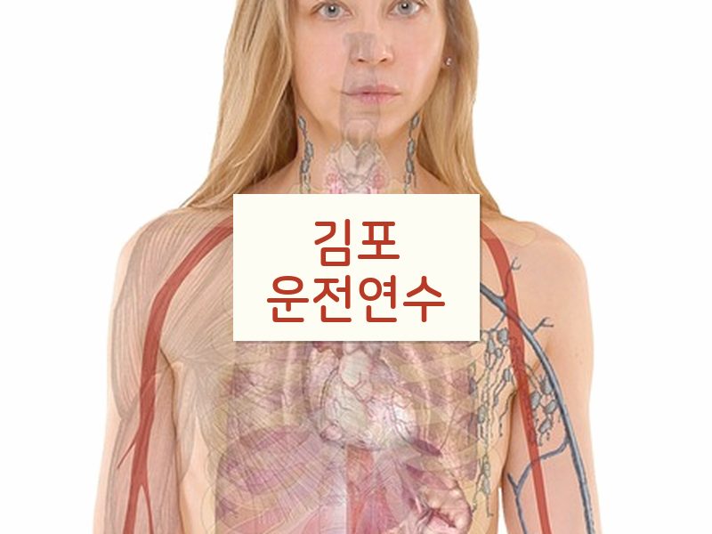 김포운전연수 후기
