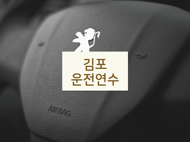 김포운전연수 후기