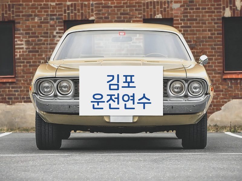 김포운전연수 후기