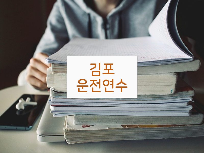 김포운전연수 후기