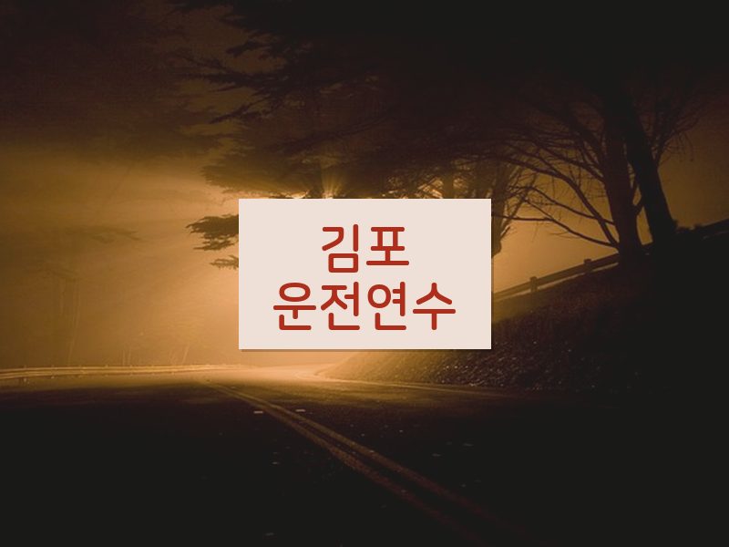 김포운전연수 후기