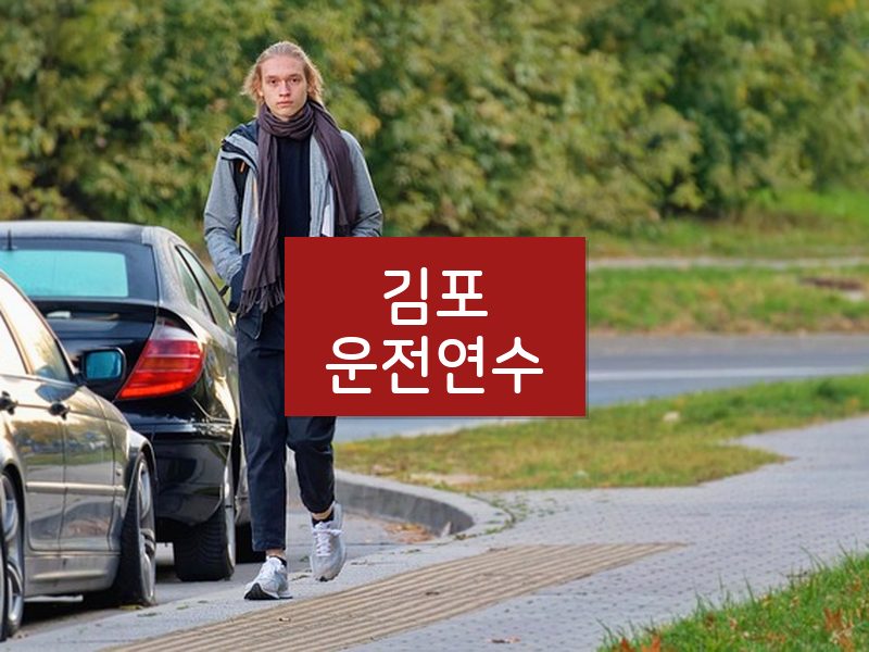 김포운전연수 후기