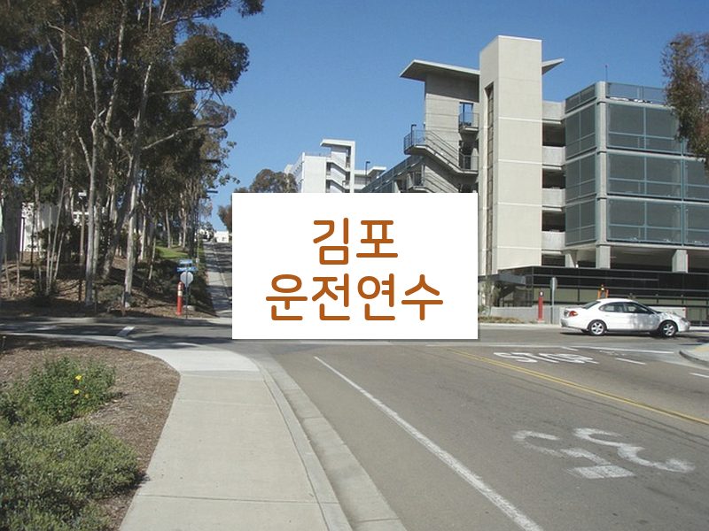 김포운전연수 후기