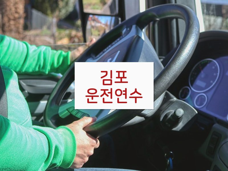 김포운전연수 후기