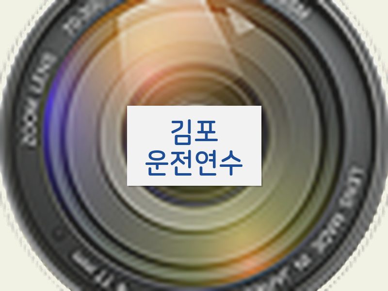김포운전연수 후기