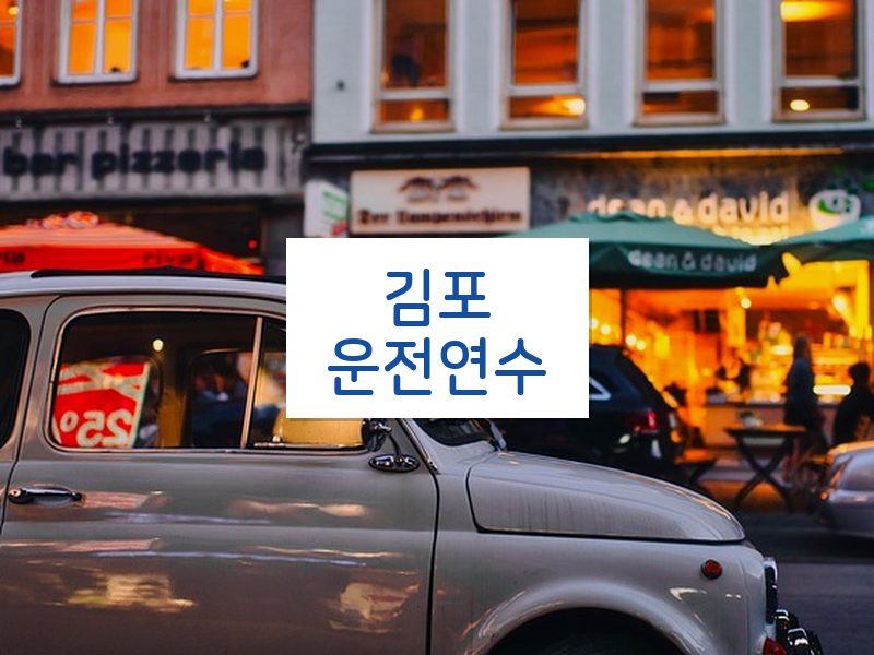 김포운전연수 후기
