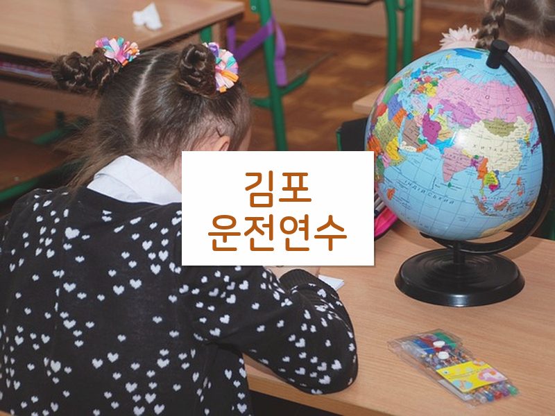 김포운전연수 후기