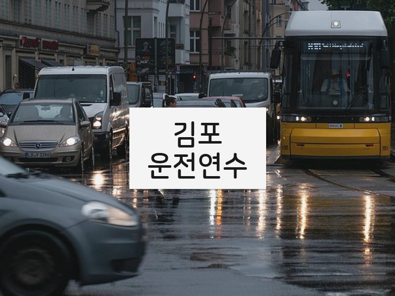 김포운전연수 후기