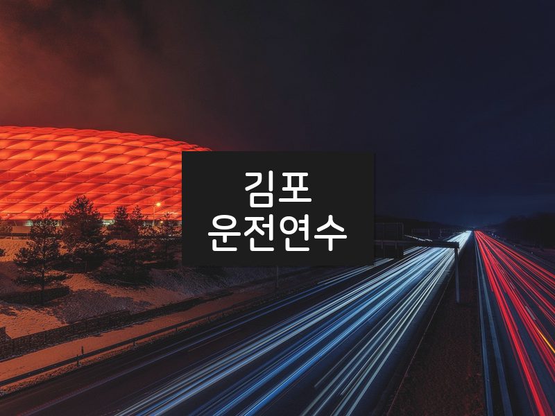 김포운전연수 후기