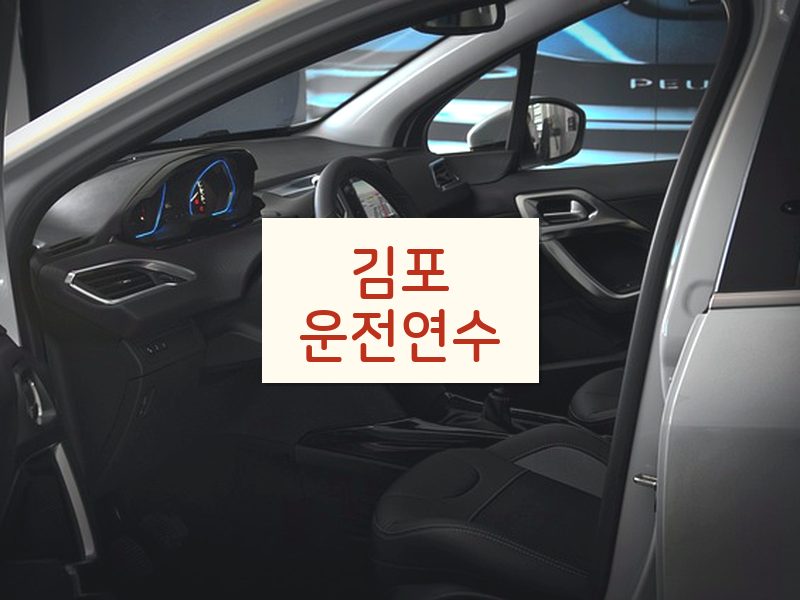 김포운전연수 후기