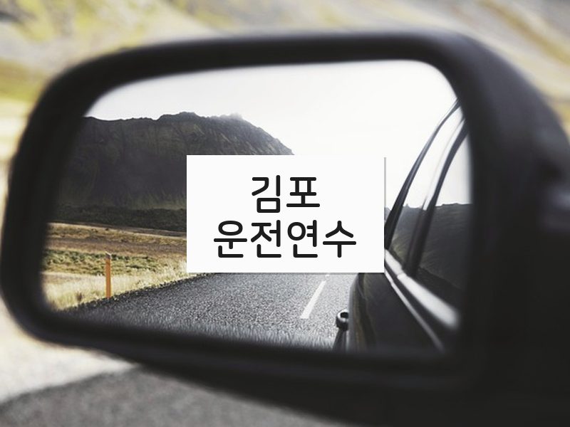 김포운전연수 후기