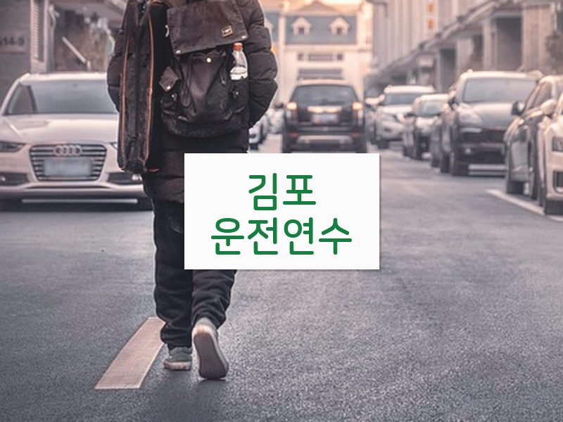 김포운전연수 후기
