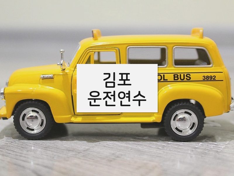 김포운전연수 후기