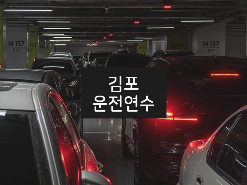 김포운전연수 후기