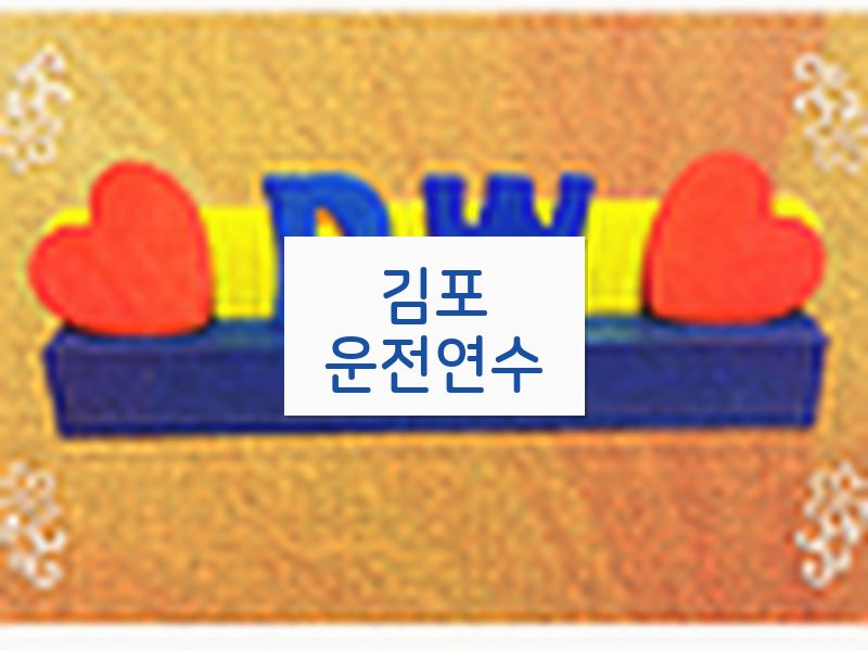 김포운전연수 후기