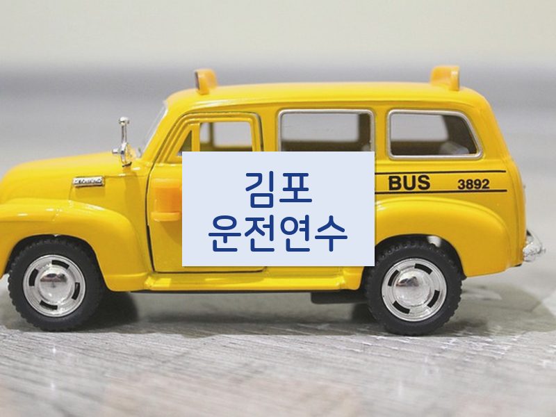 김포운전연수 후기