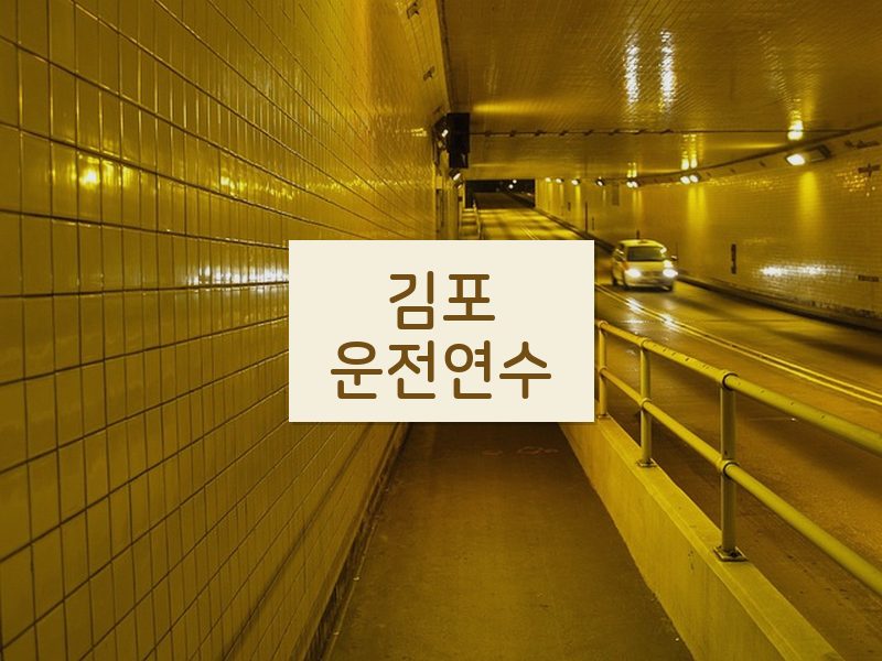김포운전연수 후기