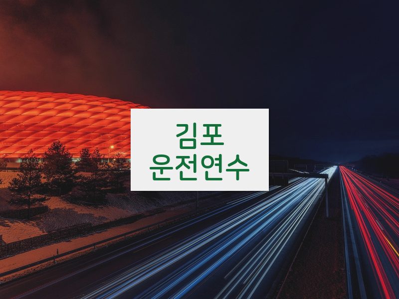 김포운전연수 후기