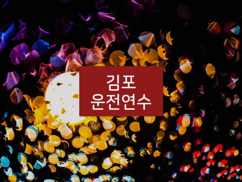 김포운전연수 후기