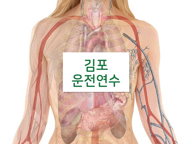 김포운전연수 후기