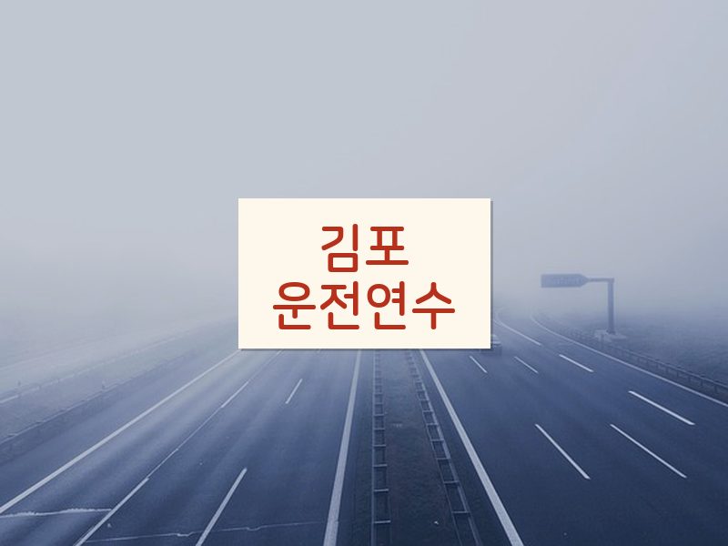 김포운전연수 후기