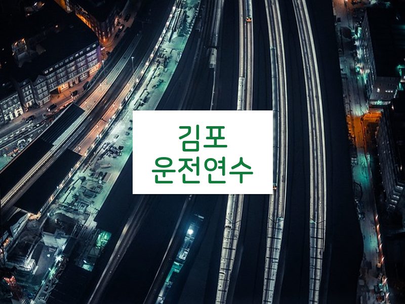 김포운전연수 후기
