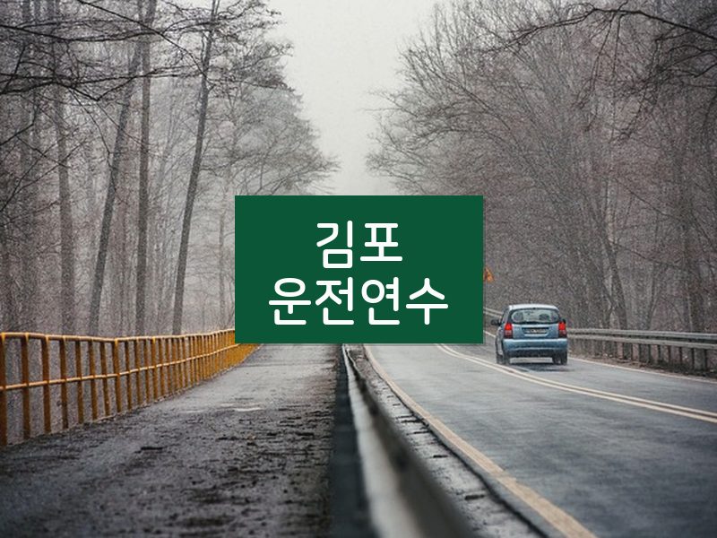 김포운전연수 후기