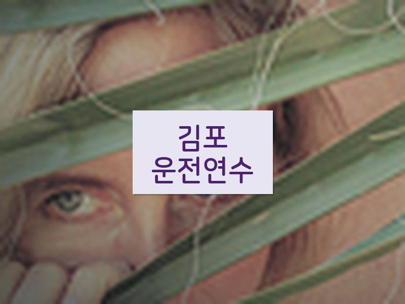 김포운전연수 후기