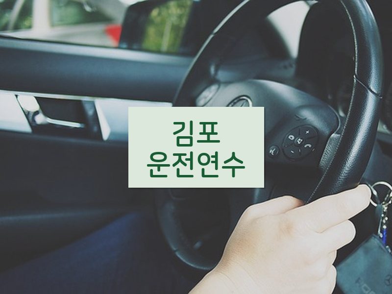 김포운전연수 후기