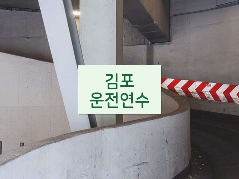 김포운전연수 후기