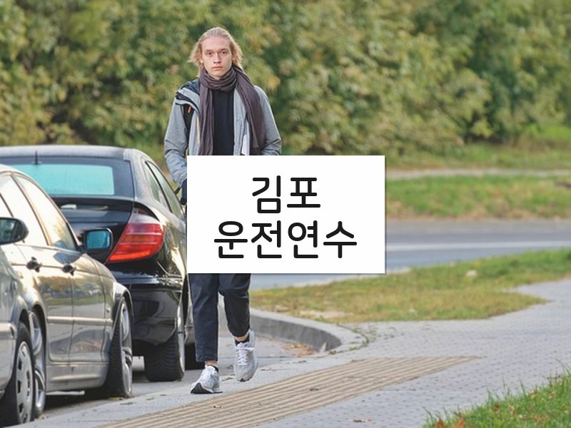 김포운전연수 후기