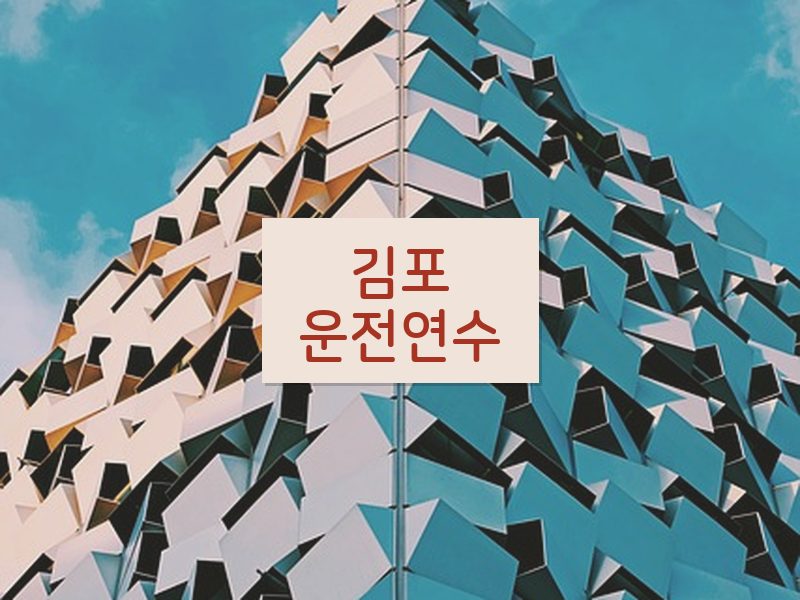 김포운전연수 후기