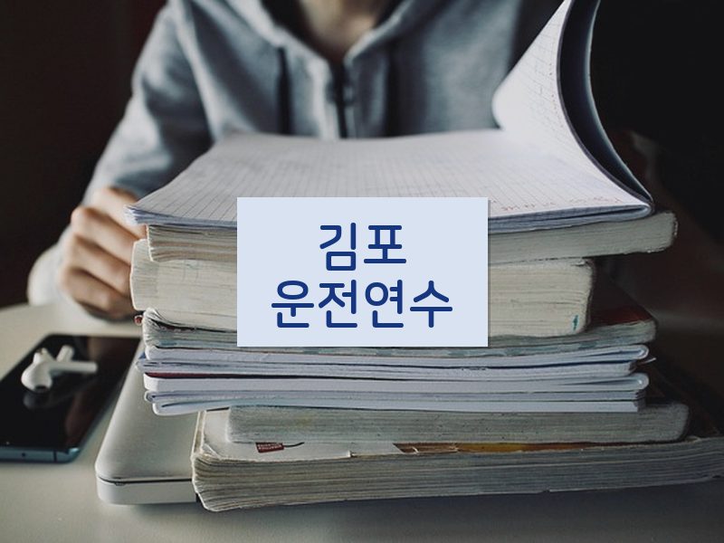 김포운전연수 후기