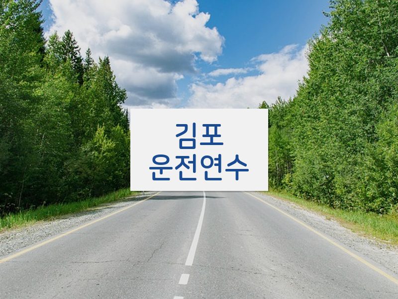 김포운전연수 후기