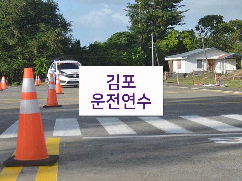 김포운전연수 후기
