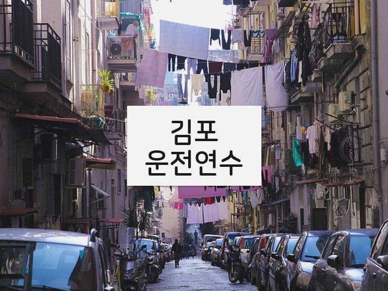 김포운전연수 후기
