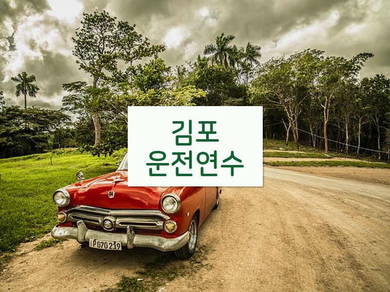 김포운전연수 후기