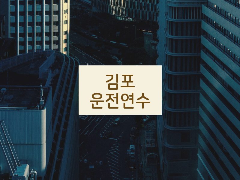 김포운전연수 후기