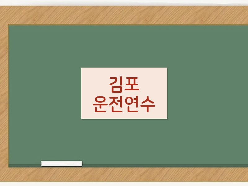 김포운전연수 후기