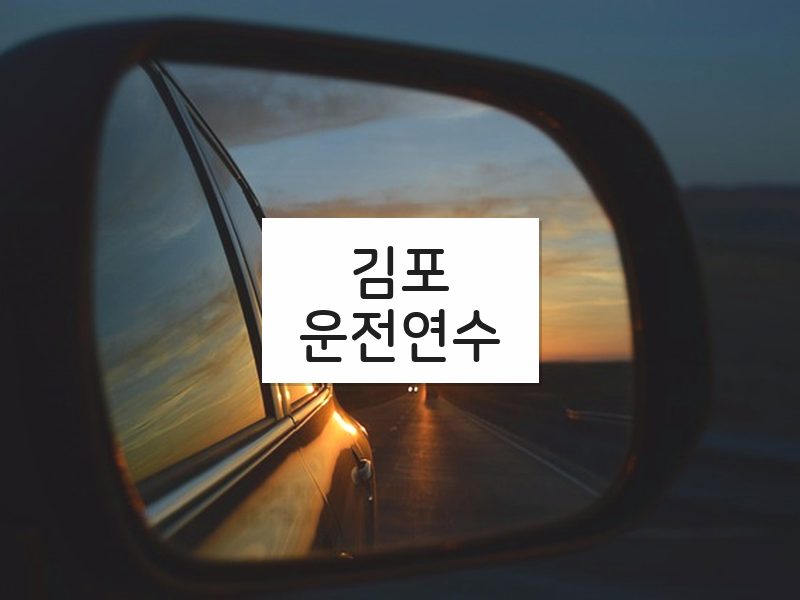 김포운전연수 후기