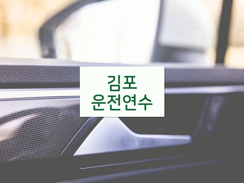 김포운전연수 후기