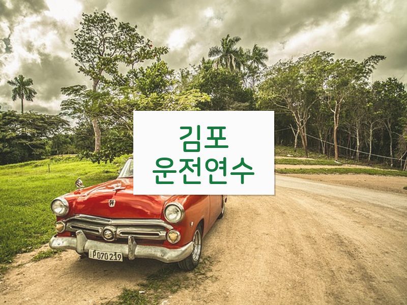 김포운전연수 후기