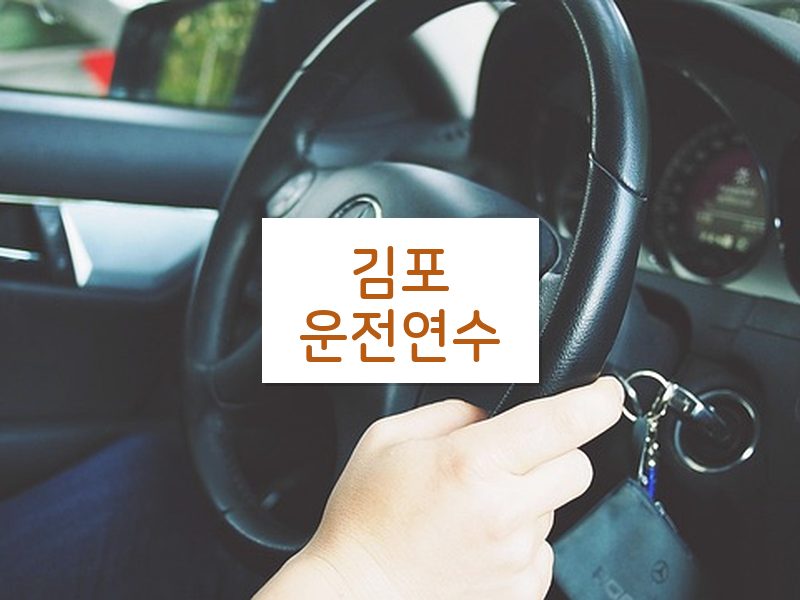김포운전연수 후기
