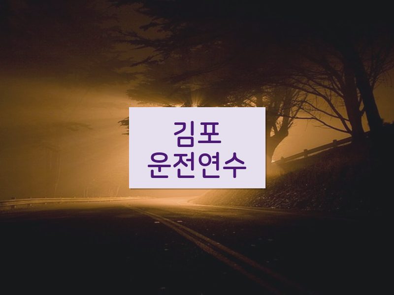 김포운전연수 후기