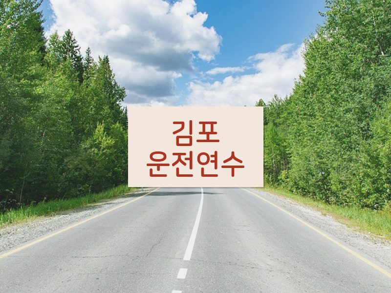 김포운전연수 후기